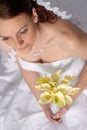 Beautiful Bride Royalty Free Stock Photo