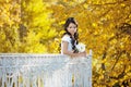 Beautiful bride in the autumn park Royalty Free Stock Photo