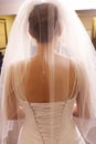 Beautiful Bride from the back to show dress details