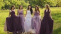 Beautiful bride and bridemaids in purple dresses walking in the park or garden holding hands and laughing in the evening