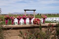 Beautiful Bride & Bridesmaid Flowers Royalty Free Stock Photo