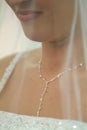 Beautiful Bride Closeup with Veil and Necklace Royalty Free Stock Photo