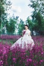 Beautiful bride in a flower field. The girl in a white dress with a bouquet in a summer field at sunset Royalty Free Stock Photo