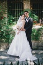 Beautiful bride and groom posing in a yard of a castle Royalty Free Stock Photo