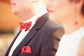 Beautiful bride and groom Royalty Free Stock Photo