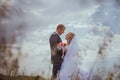 Beautiful bride and groom standing in grass and kissing. Wedding couple fashion shoot. Royalty Free Stock Photo