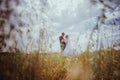 Beautiful bride and groom standing in grass and kissing. Wedding couple fashion shoot. Royalty Free Stock Photo