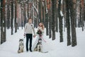 Beautiful bride and groom with two siberian husky are posed on background of snowy forest. Artwork Royalty Free Stock Photo