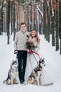 Beautiful bride and groom with two siberian husky are posed on background of snowy forest. Artwork Royalty Free Stock Photo