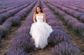 beautiful bride in a lavender field. Girl on the wedding day in nature. young woman in a white dress on a blooming Royalty Free Stock Photo