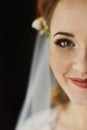 Beautiful bride looking out of window, morning wedding preparation, sensual blonde woman in robe and veil portrait in