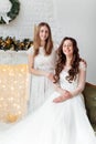 Beautiful bride in luxury wedding dress and pretty bridesmaid in dresse in decorated christmas studio. weddind in Christmas