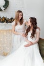 Beautiful bride in luxury wedding dress and pretty bridesmaid in dresse in decorated christmas studio. weddind in Christmas