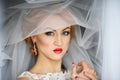 beautiful bride portrait with veil over her face, wearing professional make-up Royalty Free Stock Photo