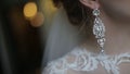 Beautiful bride in puts on earring. Beauty model girl is wearing jewelry for marriage. Wedding female portrait. Woman Royalty Free Stock Photo