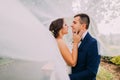 Beautiful bride and stylish groom going to kiss. Long bridal veil vawing in wind Royalty Free Stock Photo