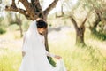 beautiful bride in tender wedding dress with long bridal veil in the olive grove