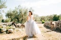 beautiful bride in tender wedding dress in the olive grove, cute donkeys around her