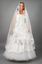 Beautiful bride under veil wearing wedding dress Royalty Free Stock Photo