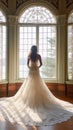 Beautiful Bride Wearing Wedding Dress Royalty Free Stock Photo