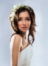 Beautiful bride wearing Royalty Free Stock Photo