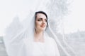 Beautiful bride in a wedding dress covered with a veil. Portrait of the bride in nature under a veil Royalty Free Stock Photo