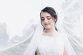 Beautiful bride in a wedding dress covered with a veil. Portrait of the bride in nature under a veil Royalty Free Stock Photo