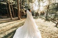 Beautiful bride in a wedding dress with a long train standing back in the forest. Royalty Free Stock Photo