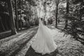 Beautiful bride in a wedding dress with a long train standing back in the forest. Royalty Free Stock Photo