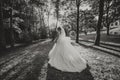 Beautiful bride in a wedding dress with a long train standing back in the forest. Royalty Free Stock Photo
