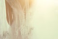 Beautiful bride with wedding dress and veil, from behind. Royalty Free Stock Photo