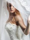 Beautiful bride woman in wedding dress and veil Royalty Free Stock Photo