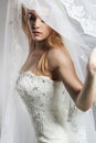 Beautiful bride woman in wedding dress and veil Royalty Free Stock Photo