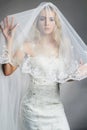 Beautiful bride woman in wedding dress and veil Royalty Free Stock Photo