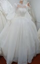 Beautiful brides dress silikony Royalty Free Stock Photo