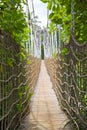 Bridge in the forest in sentosa island,Singapore Royalty Free Stock Photo