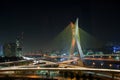 Beautiful bridge in Sao Paulo Royalty Free Stock Photo