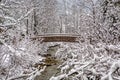 Beautiful bridge on a snowy park