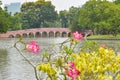 Beautiful bridge and trees in the park, Bangkok, Thailand Royalty Free Stock Photo