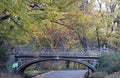 Beautiful bridges decorate this beautiful and famous NYC central park Royalty Free Stock Photo