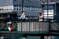 Beautiful bridges over River Limmat in Zurich - ZURICH, SWITZERLAND - JULY 17, 2022 Royalty Free Stock Photo