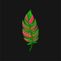 Beautiful bright abstract pink and green feather vector Illustration on a black background Royalty Free Stock Photo