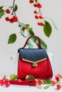 Beautiful bright bag and belt close, light gray background in the decoration of apples