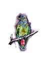 Beautiful bright bird-parrot, in watercolor style, on a beautiful background