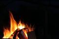 Beautiful bright bonfire with burning wood outdoors at night, space for text Royalty Free Stock Photo