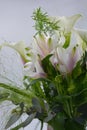 A beautiful, bright bouquet, a composition of white calla lilies, purple white orchids, flowers with green leaves, branches. Royalty Free Stock Photo