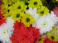 Beautiful Bright Close Up Yellow Daisy And Orange & White Dahlia  Flowers Bouquet Royalty Free Stock Photo