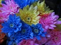 Beautiful Bright Closeup Colourful Dahlia Flowers Bouquet Royalty Free Stock Photo