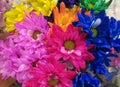 Beautiful Bright Closeup Colourful Daisy Flowers Bouquet On Display Royalty Free Stock Photo