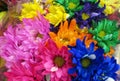 Beautiful Bright Closeup Colourful Daisy Flowers Bouquet On Display Royalty Free Stock Photo